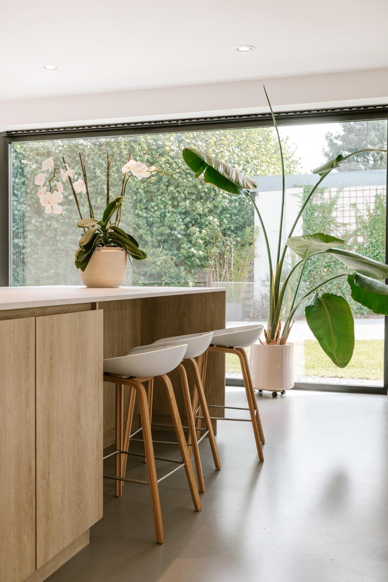 Bnb Manere Grimbergen Exteriör bild